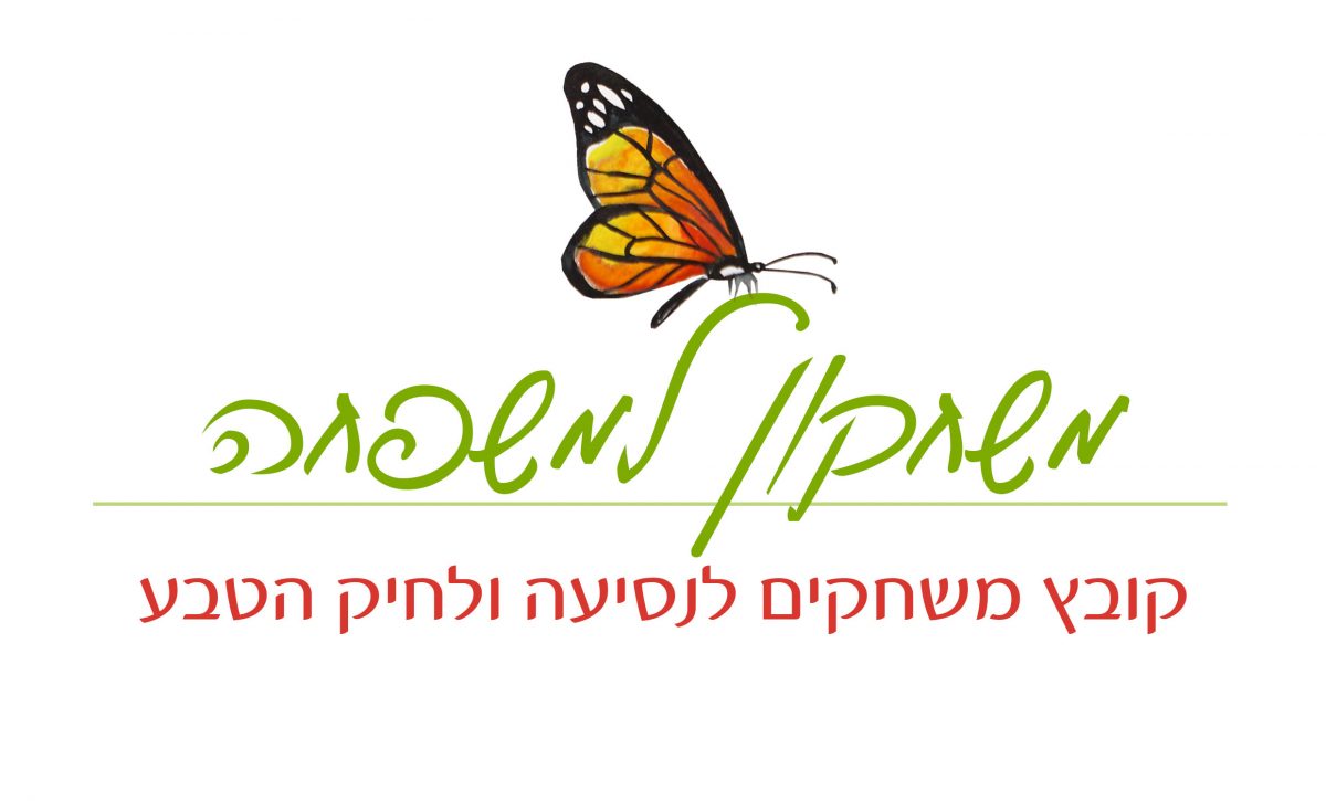 משחקי נסיעה ובילוי